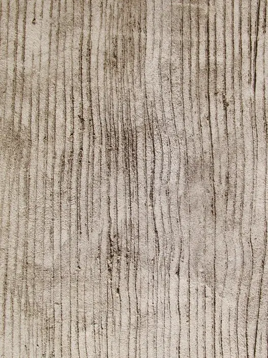 Close-up of textured timber grain